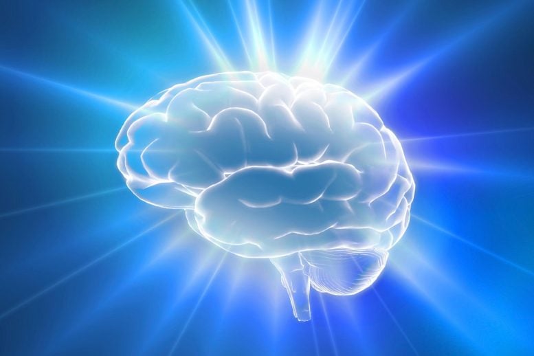 Brain Energy Boost Illustration