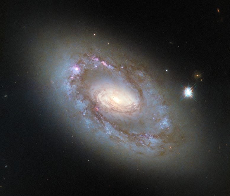 Spiral Galaxy NGC 4102