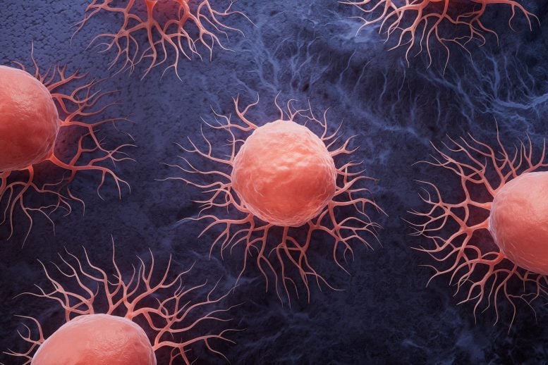 Biological Cancer Disease Cells