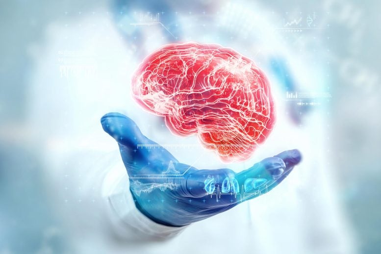 Doctor Examining Brain Hologram Close