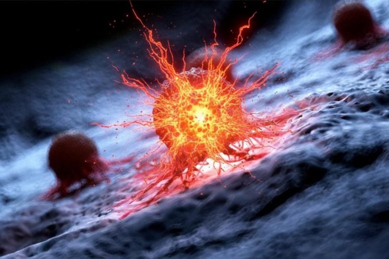 Exploding Cancer Cells