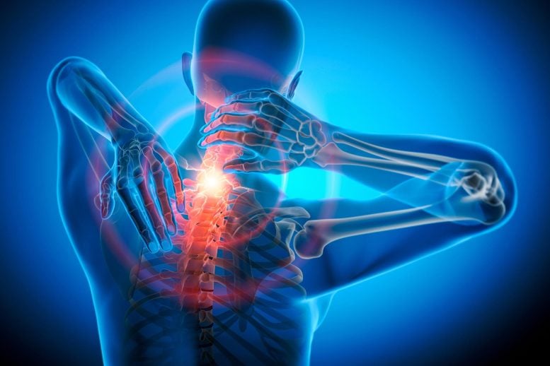 Intense Pain Neck Spine Vertebra