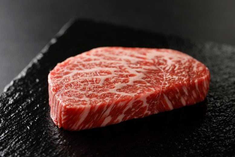Wagyu Fresh Japanese Kobe Beef Steak